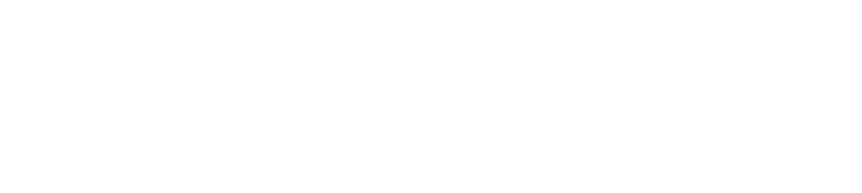 Concurseiro Nato